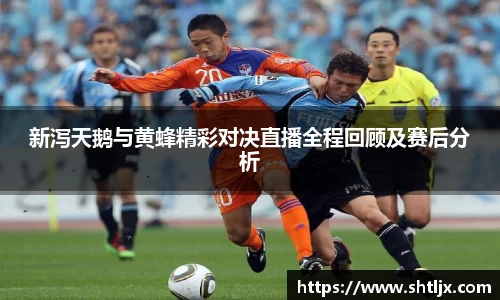新泻天鹅与黄蜂精彩对决直播全程回顾及赛后分析